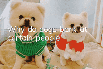 Why do dogs bark at certain people?