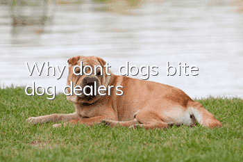 Why don’t dogs bite dog dealers?