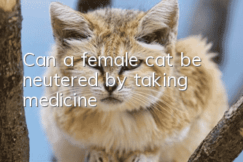 Can a female cat be neutered by taking medicine?