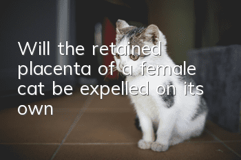 Will the retained placenta of a female cat be expelled on its own?