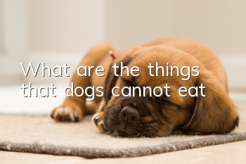 What are the things that dogs cannot eat?