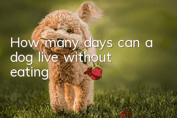 How many days can a dog live without eating?