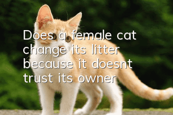 Does a female cat change its litter because it doesn’t trust its owner?