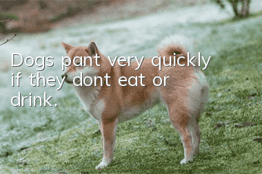 Dogs pant very quickly if they don’t eat or drink.