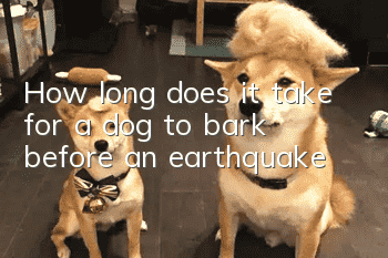 How long does it take for a dog to bark before an earthquake?