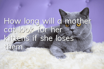 How long will a mother cat look for her kittens if she loses them?