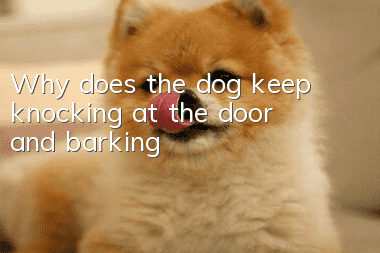 Why does the dog keep knocking at the door and barking?