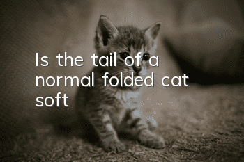 Is the tail of a normal folded cat soft?