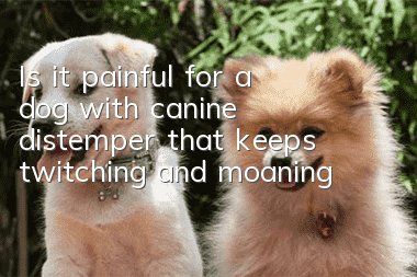 Is it painful for a dog with canine distemper that keeps twitching and moaning?