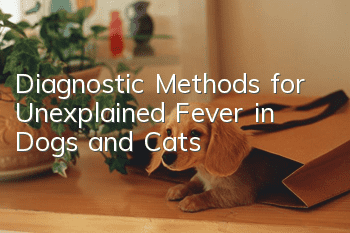 Diagnostic Methods for Unexplained Fever in Dogs and Cats