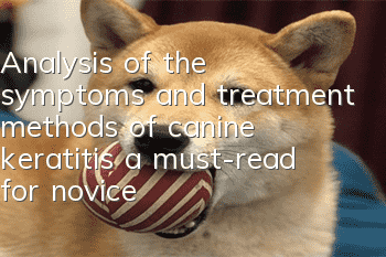 Analysis of the symptoms and treatment methods of canine keratitis, a must-read for novices!