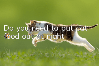Do you need to put cat food out at night?