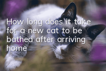 How long does it take for a new cat to be bathed after arriving home?