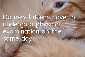 Do new kittens have to undergo a physical examination on the same day?