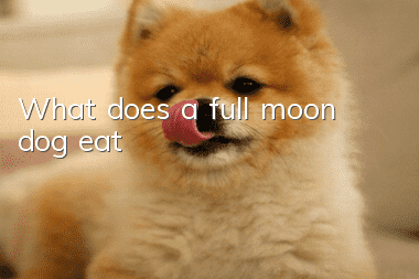 What does a full moon dog eat?