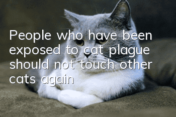 People who have been exposed to cat plague should not touch other cats again