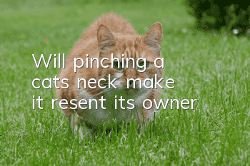 Will pinching a cat's neck make it resent its owner?