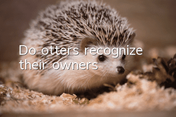 Do otters recognize their owners?