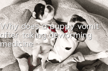 Why does a puppy vomit after taking deworming medicine?