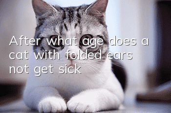 After what age does a cat with folded ears not get sick?