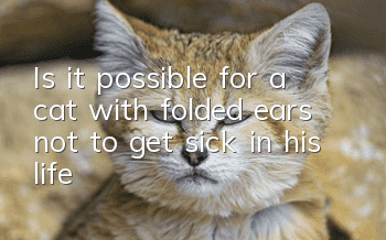 Is it possible for a cat with folded ears not to get sick in his life?