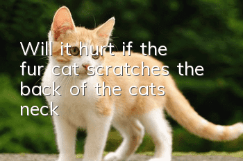 Will it hurt if the fur cat scratches the back of the cat's neck?