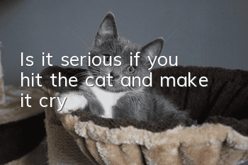 Is it serious if you hit the cat and make it cry?