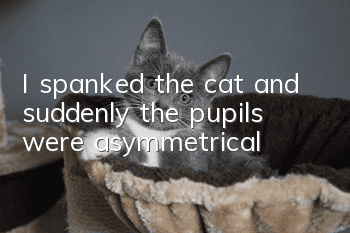 I spanked the cat and suddenly the pupils were asymmetrical