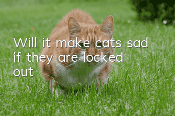 Will it make cats sad if they are locked out?