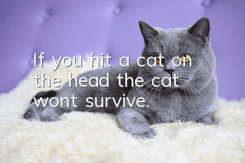 If you hit a cat on the head, the cat won't survive.