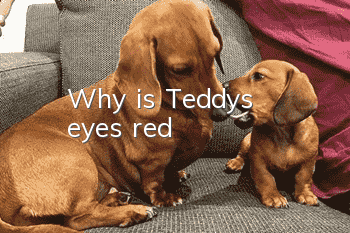 Why is Teddy's eyes red?
