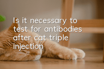 Is it necessary to test for antibodies after cat triple injection?