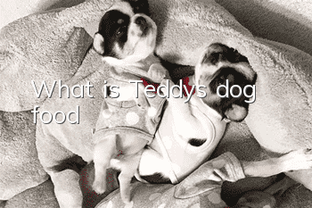 What is Teddy’s dog food?
