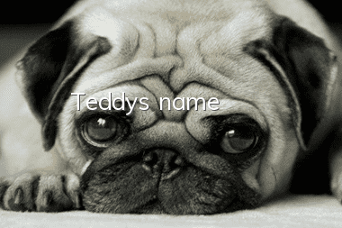 Teddy's name