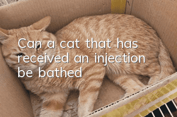 Can a cat that has received an injection be bathed?