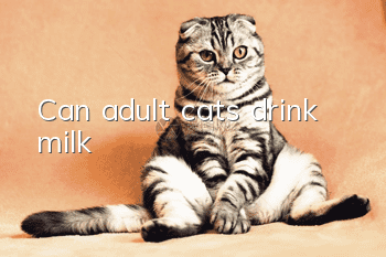 Can adult cats drink milk?