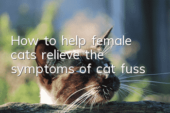 How to help female cats relieve the symptoms of cat fuss