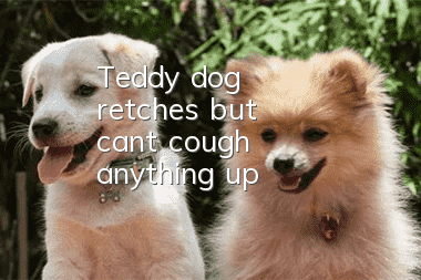 Teddy dog retches but can't cough anything up