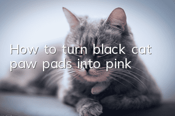 How to turn black cat paw pads into pink