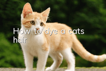 How to dye a cat’s hair