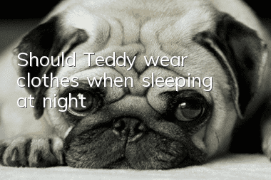 Should Teddy wear clothes when sleeping at night?
