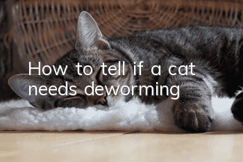 How to tell if a cat needs deworming