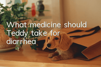 What medicine should Teddy take for diarrhea?