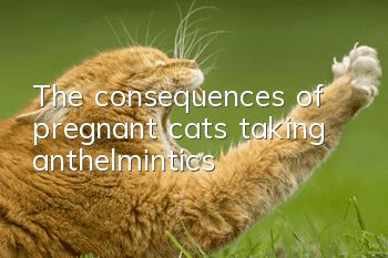 The consequences of pregnant cats taking anthelmintics
