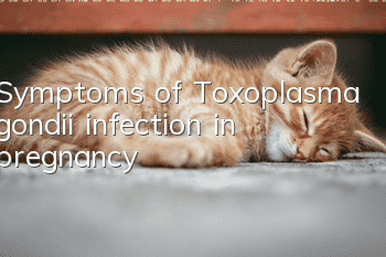 Symptoms of Toxoplasma gondii infection in pregnancy