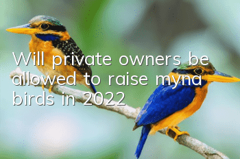 Will private owners be allowed to raise myna birds in 2022?