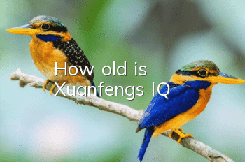 How old is Xuanfeng's IQ?
