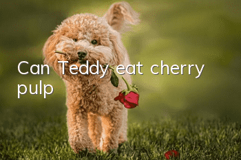 Can Teddy eat cherry pulp?