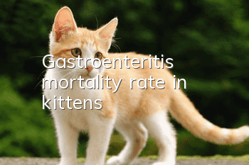 Gastroenteritis mortality rate in kittens