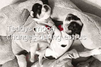 Teddy's mood changes during estrus